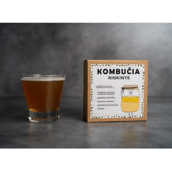 Kombucha veidošanas...